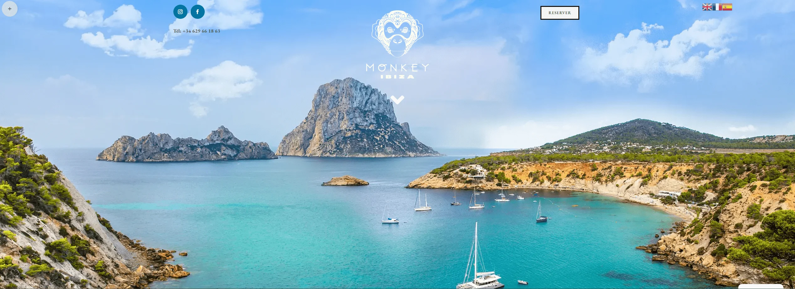 Site Wordpress www.monkeyibiza.com 5 site monkey ibiza
